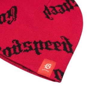 Logo Beanie hats logo
